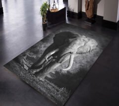 Modern Salon Halısı